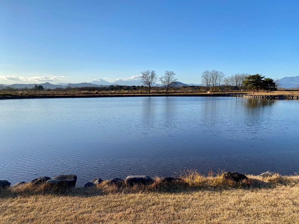 calm_gift_1030さんが投稿した勝山（かつやま）に関する口コミの画像