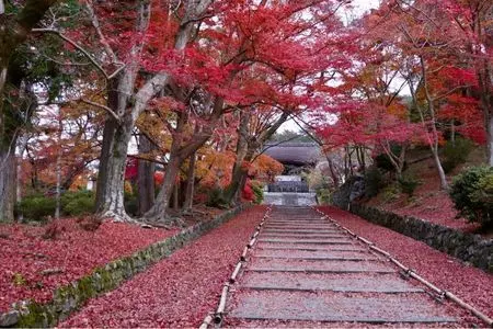 毘沙門堂の紅葉
