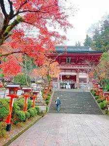鞍馬寺の紅葉