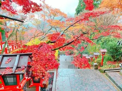 鞍馬寺の紅葉