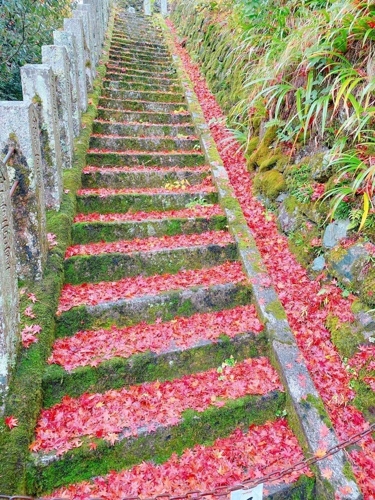 鉄道こまちさんが投稿した鞍馬寺の紅葉に関する口コミの画像