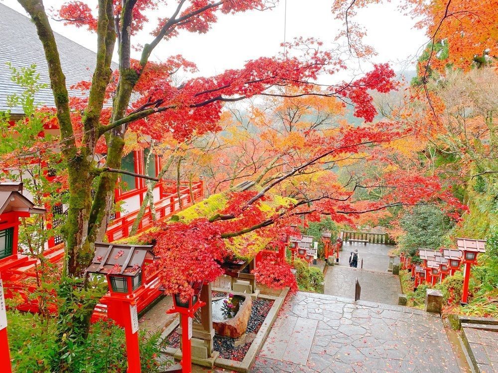 鉄道こまちさんが投稿した鞍馬寺の紅葉に関する口コミの画像