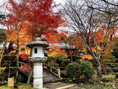茶室 おおすみ山居（オオスミ サンキョ）