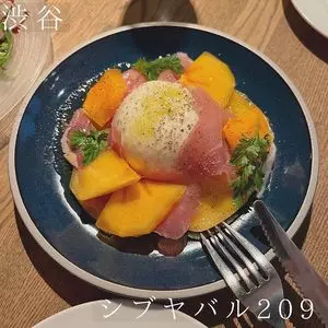 シブヤバル209