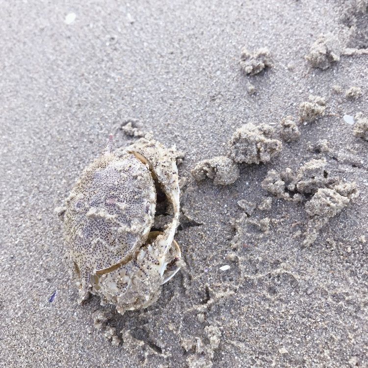 ロコさんが投稿した内海（体験観光）に関する口コミの画像