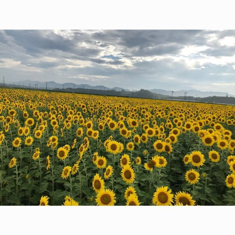 Musashiさんが投稿した坂元駅に関する口コミの画像
