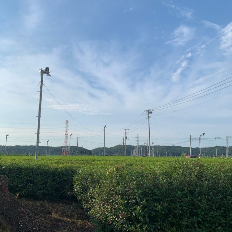 favorite_garden_9805さんが投稿した甲州市勝沼ぶどうの丘に関する口コミの画像