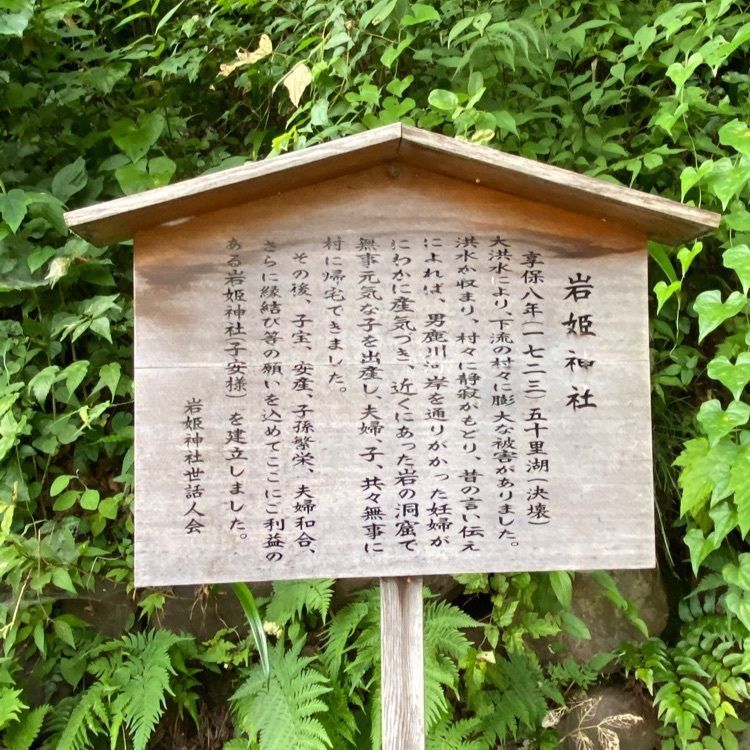 かめ_メグミさんが投稿した川治温泉薬師の湯に関する口コミの画像