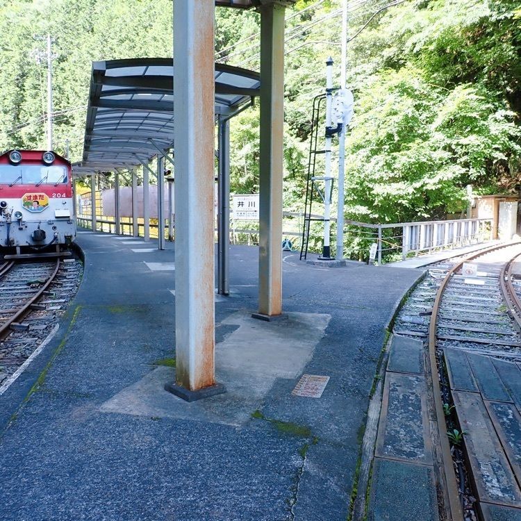ざんぎさんが投稿した井川駅に関する口コミの画像