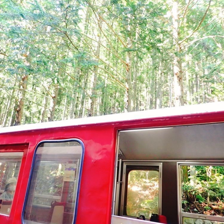 ざんぎさんが投稿した井川駅に関する口コミの画像