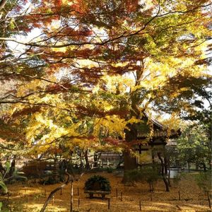 三溪園