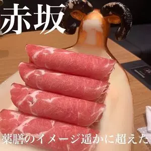 モンゴル薬膳鍋 赤坂門店