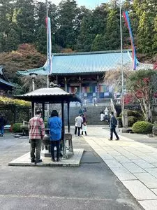 足柄森林公園丸太の森