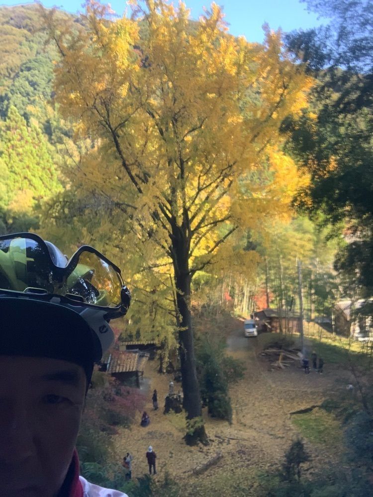 festive_garden_7486さんが投稿した康平寺に関する口コミの画像