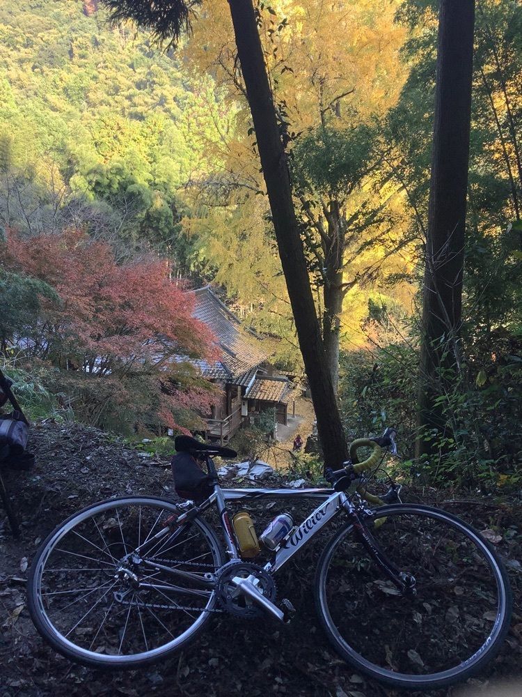 festive_garden_7486さんが投稿した康平寺に関する口コミの画像