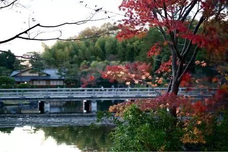 昭和記念公園 総合案内所 カフェ