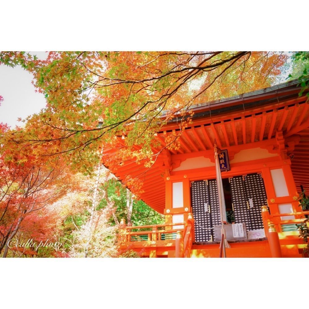 urban_garden_243aさんが投稿した毘沙門堂の紅葉に関する口コミの画像