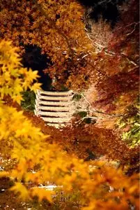 談山神社