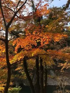 高津戸峡遊歩道