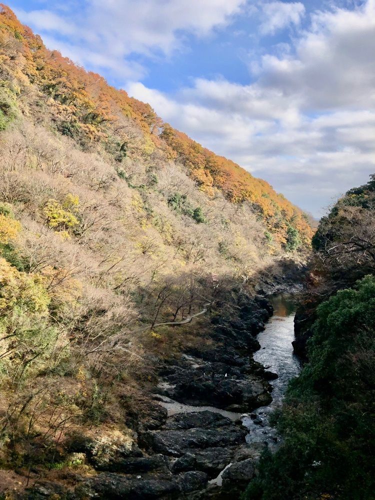 からっ風②さんが投稿した高津戸峡遊歩道に関する口コミの画像
