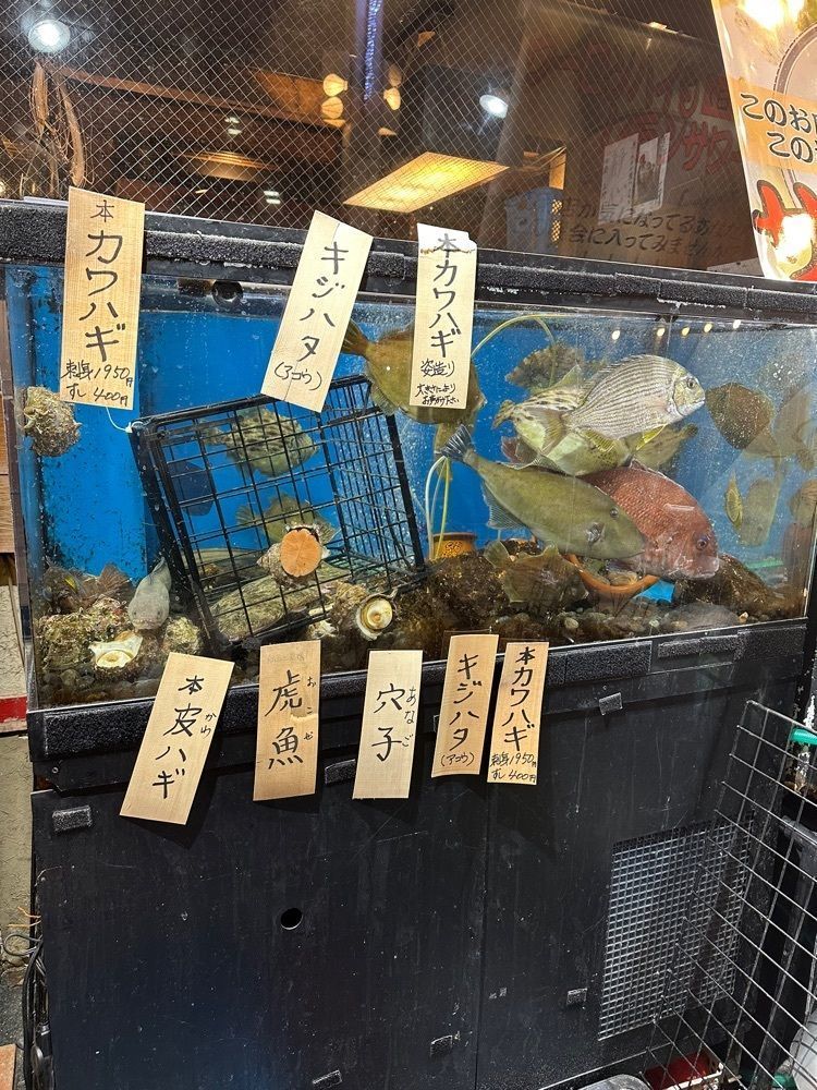あんよさんが投稿した阿佐ヶ谷漁港直売所（【旧店名】江戸や鮨八）に関する口コミの画像