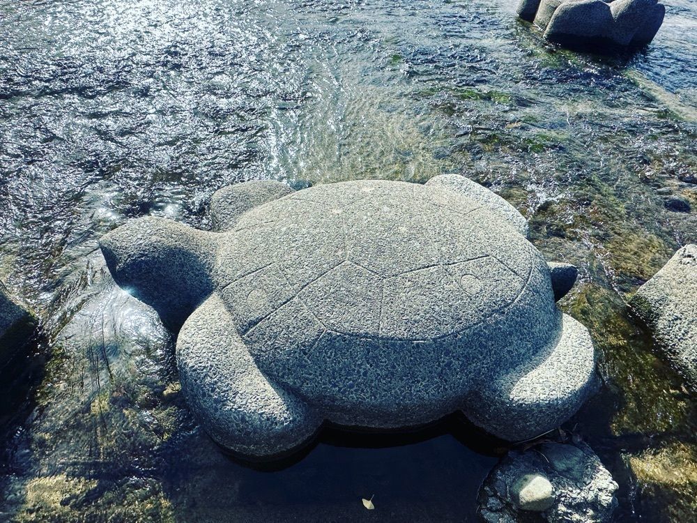 surumeさんが投稿した鴨川公園に関する口コミの画像