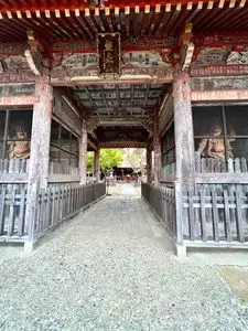 勝福寺の大イチョウ