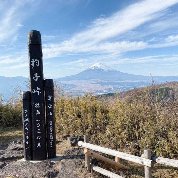 vast_museum_1f76さんが投稿した芦ノ湖スカイラインレストハウスレイクビューに関する口コミの画像