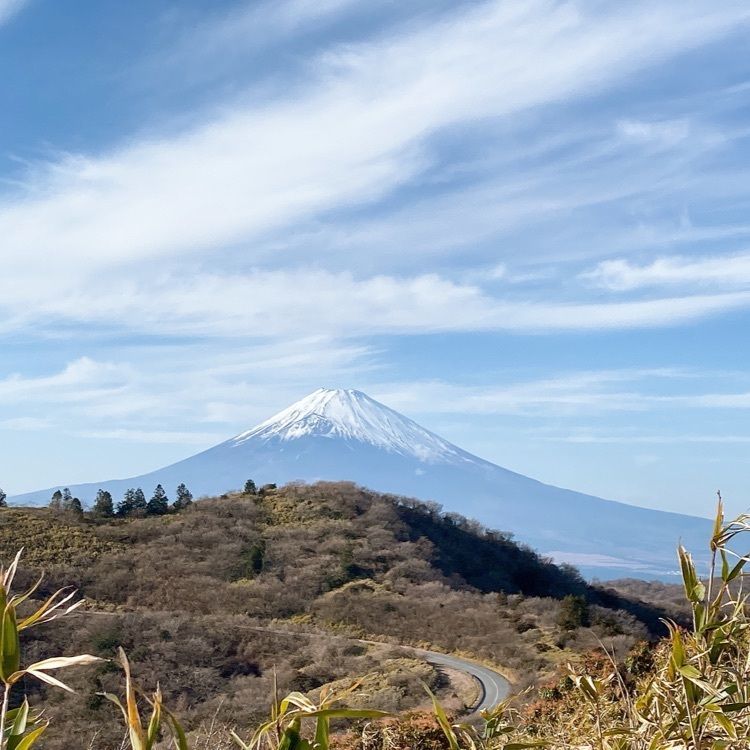 vast_museum_1f76さんが投稿した芦ノ湖スカイラインレストハウスレイクビューに関する口コミの画像