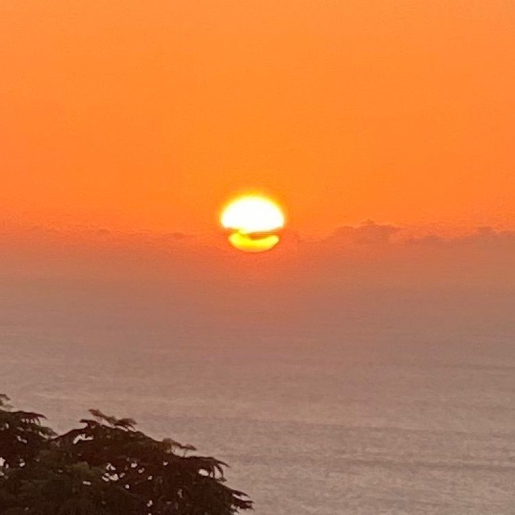 Satoshi.Nさんが投稿した尾ヶ崎ウイングに関する口コミの画像