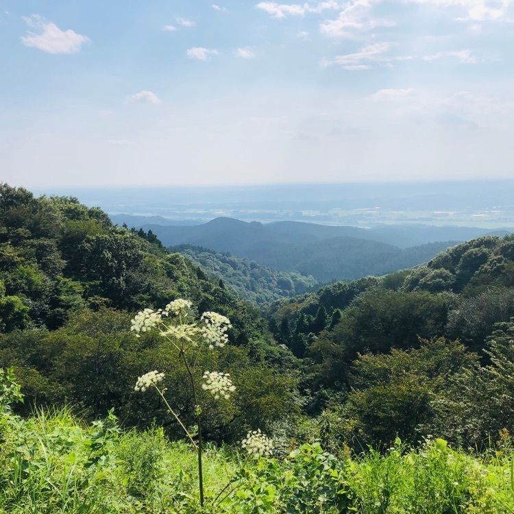 サトツルさんが投稿した御亭山に関する口コミの画像