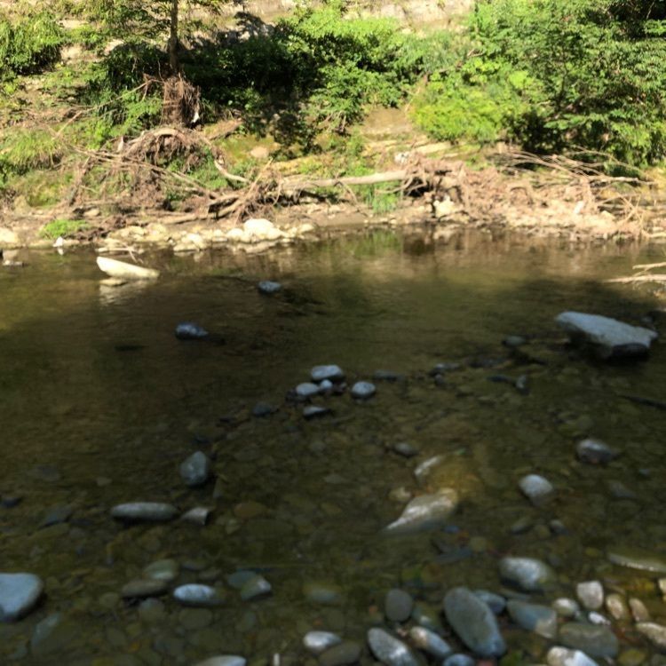 KENさんが投稿した養老温泉　黒湯の宿　嵯峨和に関する口コミの画像