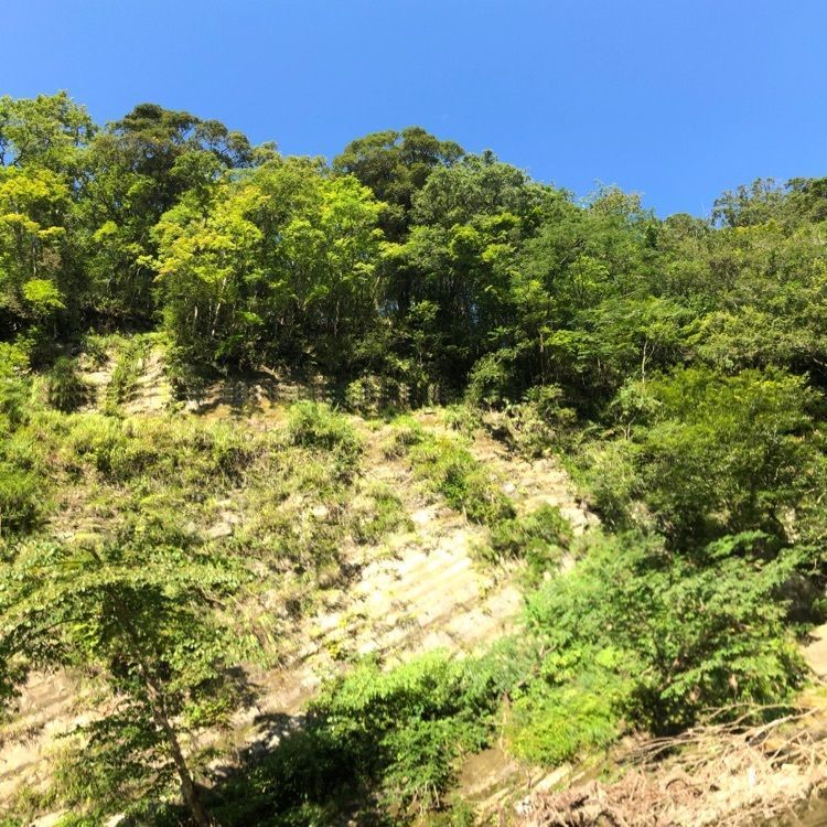 KENさんが投稿した養老温泉　黒湯の宿　嵯峨和に関する口コミの画像