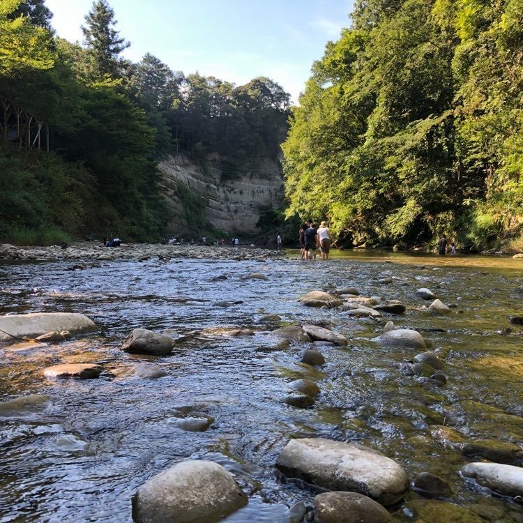 KENさんが投稿した養老温泉　黒湯の宿　嵯峨和に関する口コミの画像