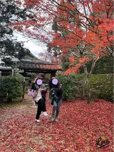 一休寺