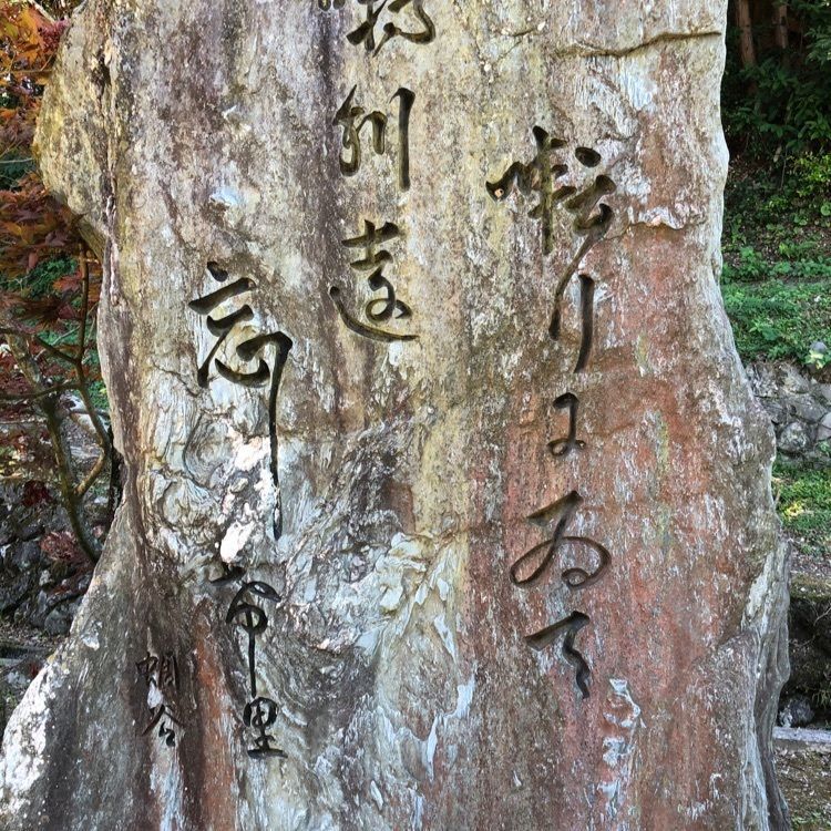 花❁⃘華  さんが投稿した三島神社本殿に関する口コミの画像