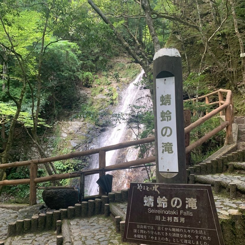 ステップさんが投稿した蜻蛉の滝に関する口コミの画像