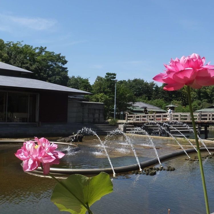 ＤＪゴン太さんが投稿した白鳥庭園に関する口コミの画像