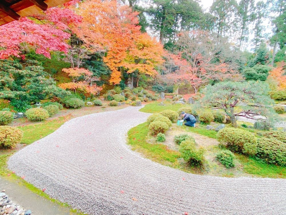 鉄道こまちさんが投稿した曼殊院の紅葉に関する口コミの画像