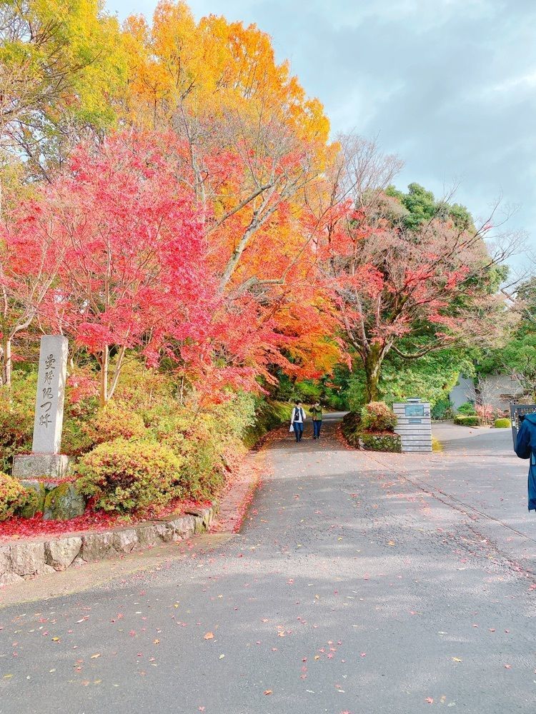 鉄道こまちさんが投稿した曼殊院の紅葉に関する口コミの画像