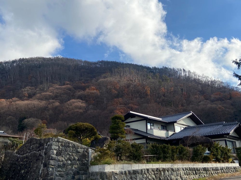 ポッキン　アンブレラさんが投稿した手打ち蕎麦と美味い酒　ジャズの流れる民芸の宿　旅館すぎもとに関する口コミの画像
