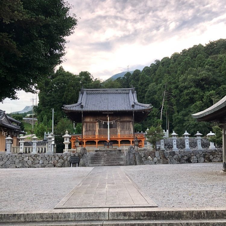 佳さんが投稿した伊吹山パラグライダースクールに関する口コミの画像