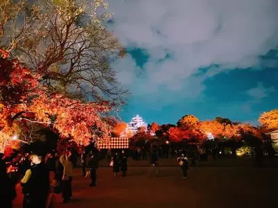 幻想庭園