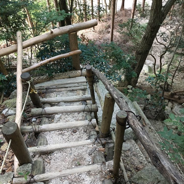 special_garden_e1faさんが投稿した湯の山温泉に関する口コミの画像