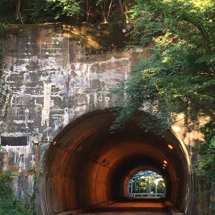 special_garden_e1faさんが投稿した湯の山温泉に関する口コミの画像