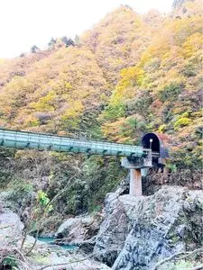赤芝峡 2枚目