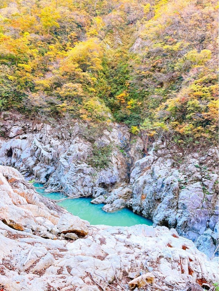 猫なぎ。さんが投稿した赤芝峡遊歩道に関する口コミの画像