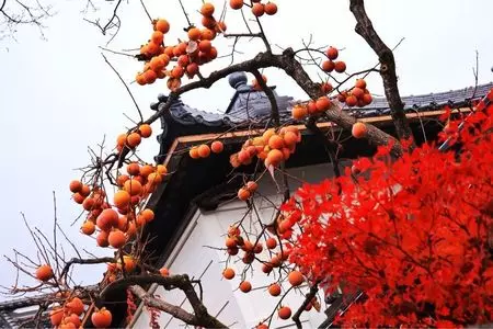 善光寺表参道さんぽ