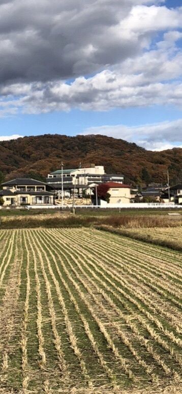 からっ風②さんが投稿したやぶ塚温泉郷に関する口コミの画像
