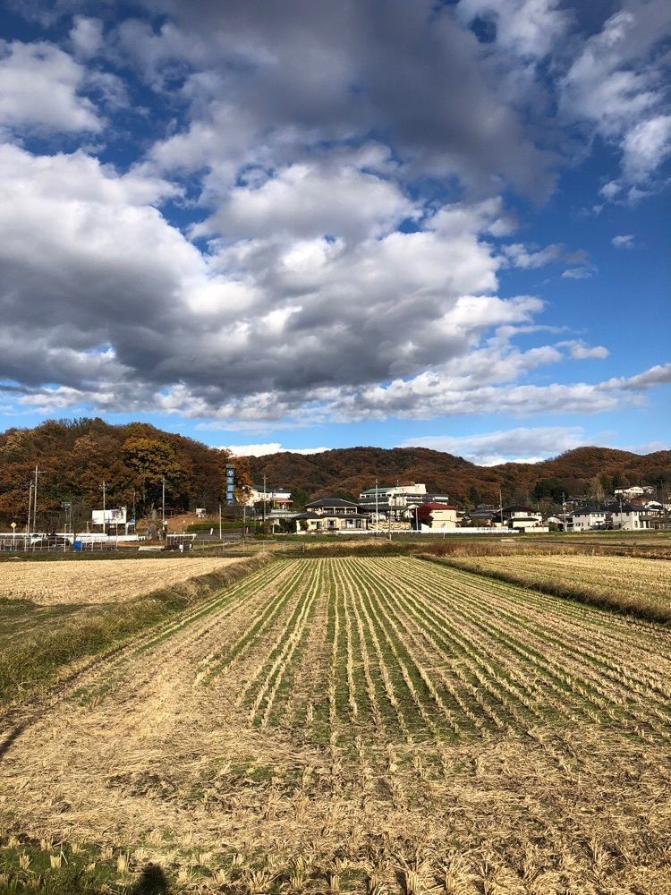 からっ風②さんが投稿したやぶ塚温泉郷に関する口コミの画像